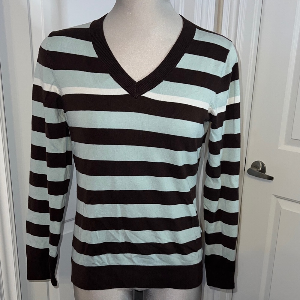 Tommy Hilfiger Chocolate and Sky Blue Striped Sweater